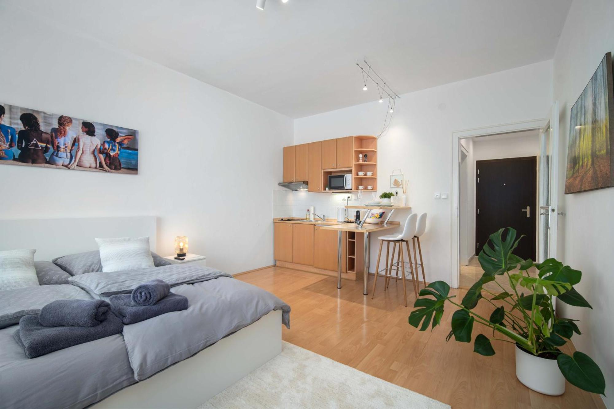 Best Location Apartment Air-Conditioned براتسيلافا المظهر الخارجي الصورة